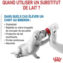 Royal Canin -  BABYDOG MILK LAIT SEVRAGE DU CHIOT DE 0 A 2 MOIS - 400g