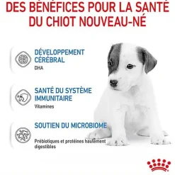 Royal Canin -  BABYDOG MILK LAIT SEVRAGE DU CHIOT DE 0 A 2 MOIS - 400g