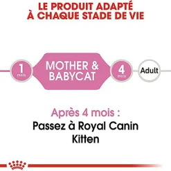 Royal Canin - Boîte Babycat Instinctive pour Chaton
