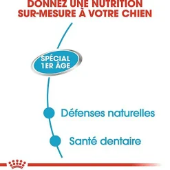 Royal Canin - Boîte Starter Mousse Mother & Babydog en Patée Pour Chien