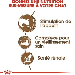 Royal Canin - Croquettes Ageing +12 pour Chat Senior