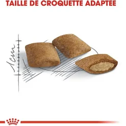 Royal Canin - Croquettes Ageing +12 pour Chat Senior