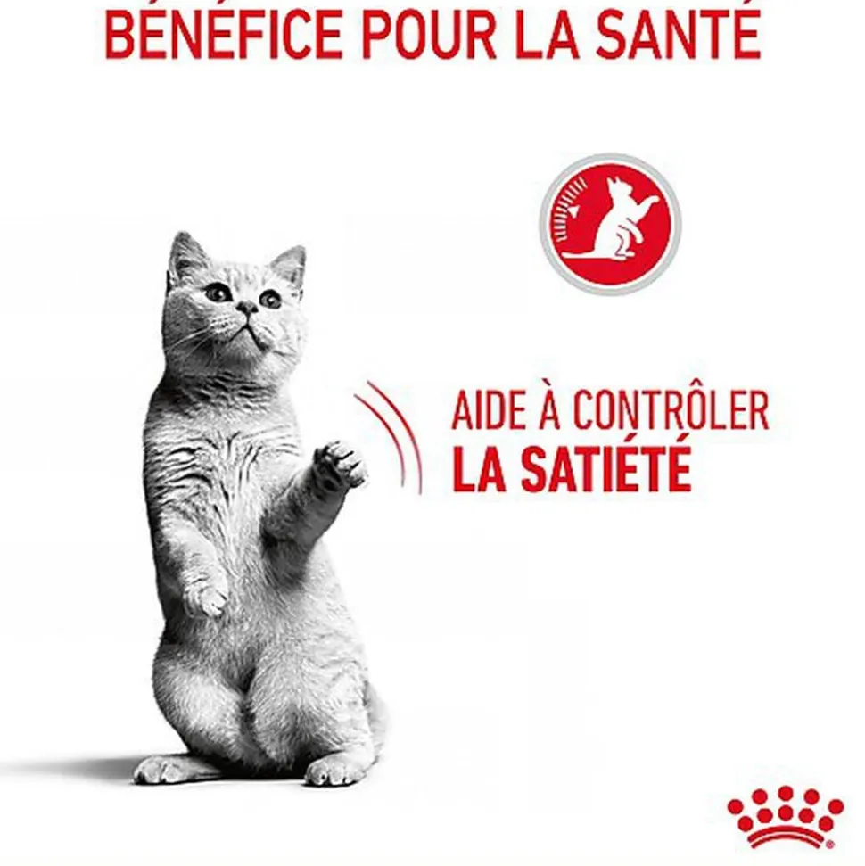 Royal Canin - Croquettes Appetite Control Care pour Chat