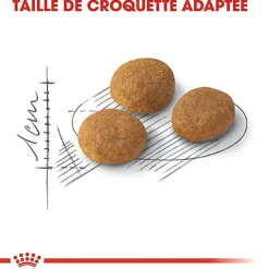 Royal Canin - Croquettes Aroma Exigent pour Chat