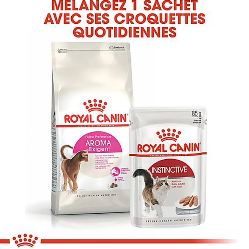 Royal Canin - Croquettes Aroma Exigent pour Chat