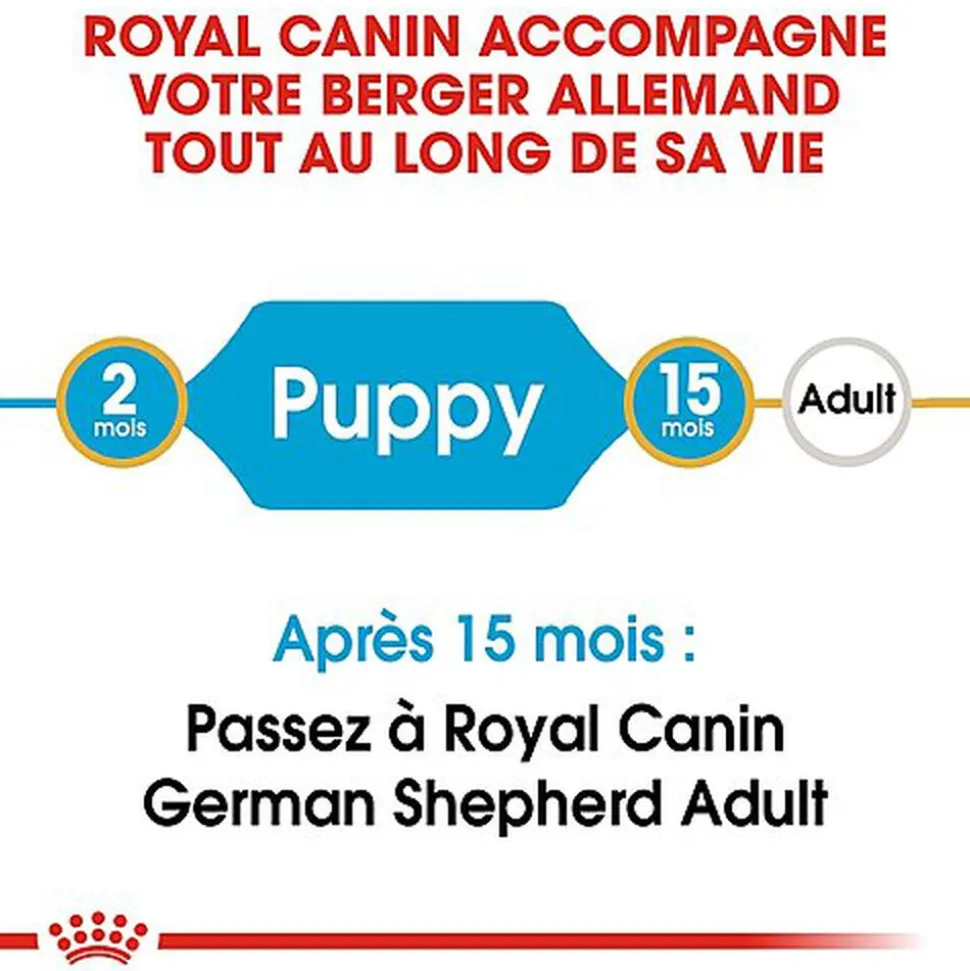 Royal Canin - Croquettes Berger Allemand Junior pour Chiot - 12Kg