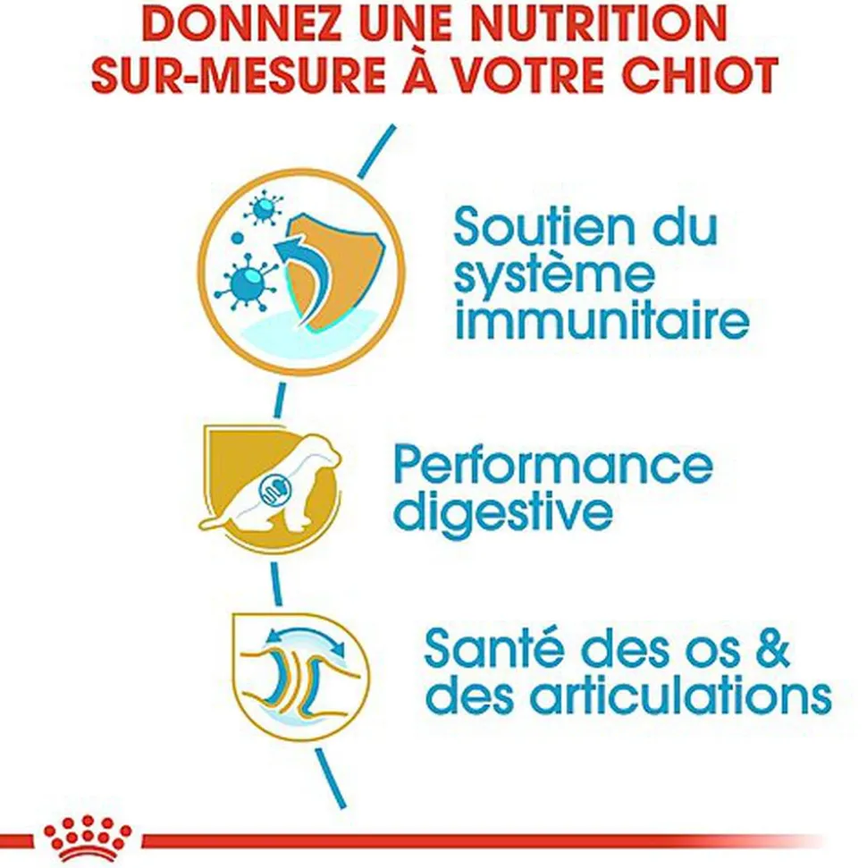 Royal Canin - Croquettes Berger Allemand Junior pour Chiot - 12Kg