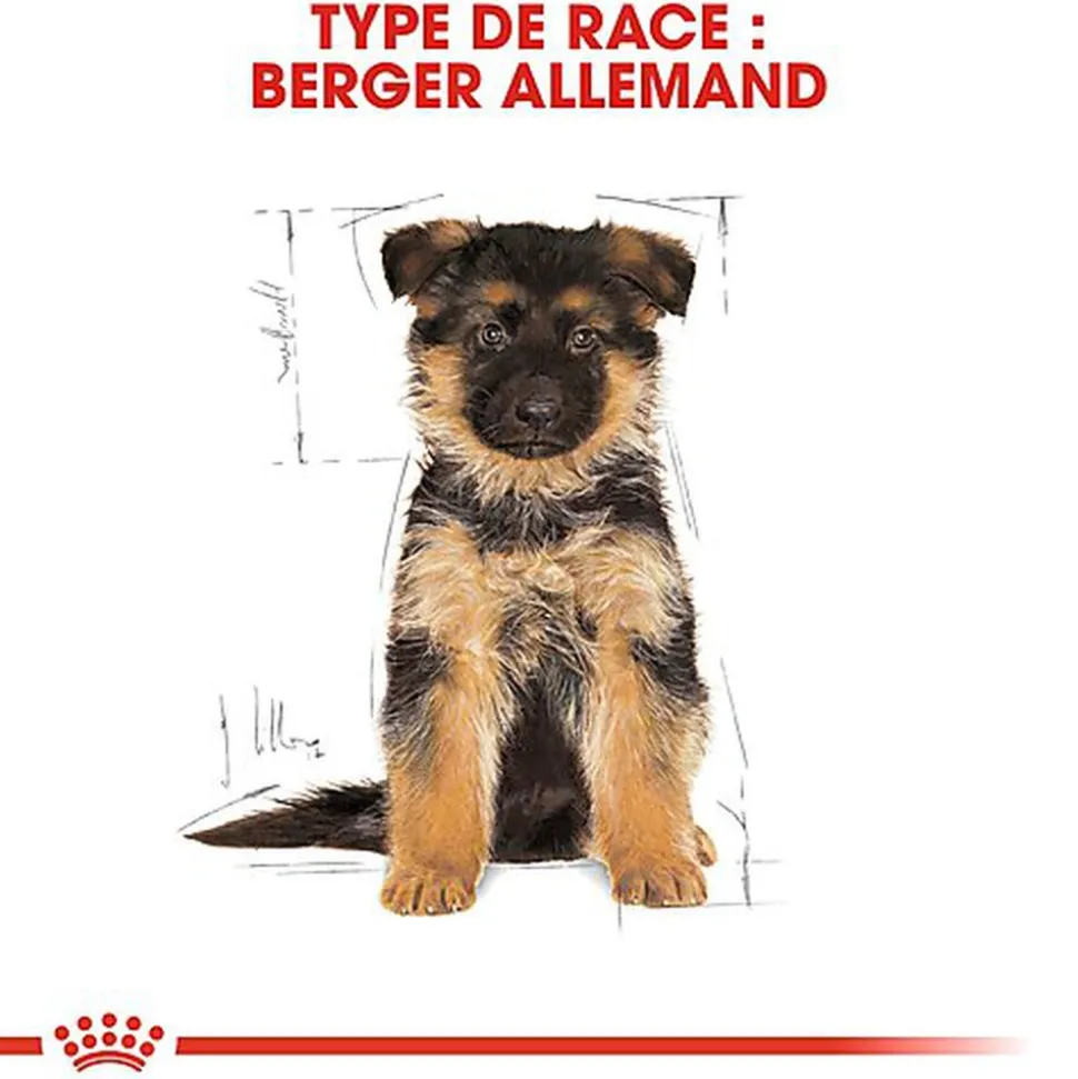 Royal Canin - Croquettes Berger Allemand Junior pour Chiot - 12Kg