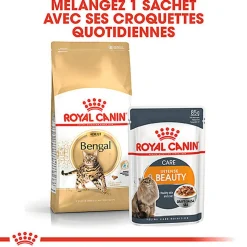 Royal Canin - Croquettes BENGAL ADULT Pour Chat
