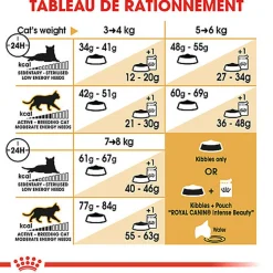 Royal Canin - Croquettes BENGAL ADULT Pour Chat