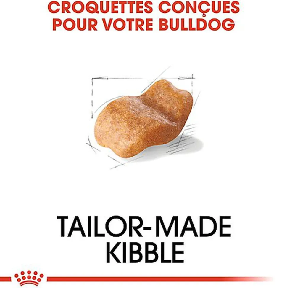 Royal Canin - Croquettes Bulldog pour Chien Adulte - 12Kg