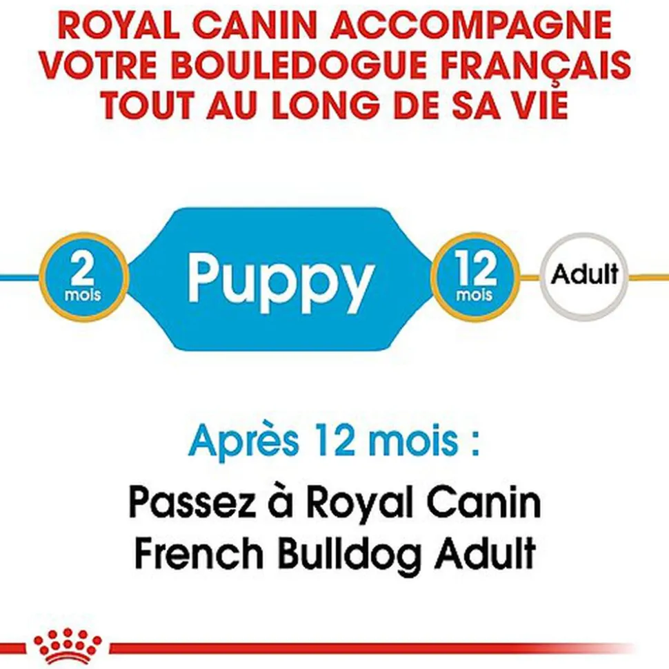 Royal Canin - Croquettes Bouledogue Français Junior pour Chiot