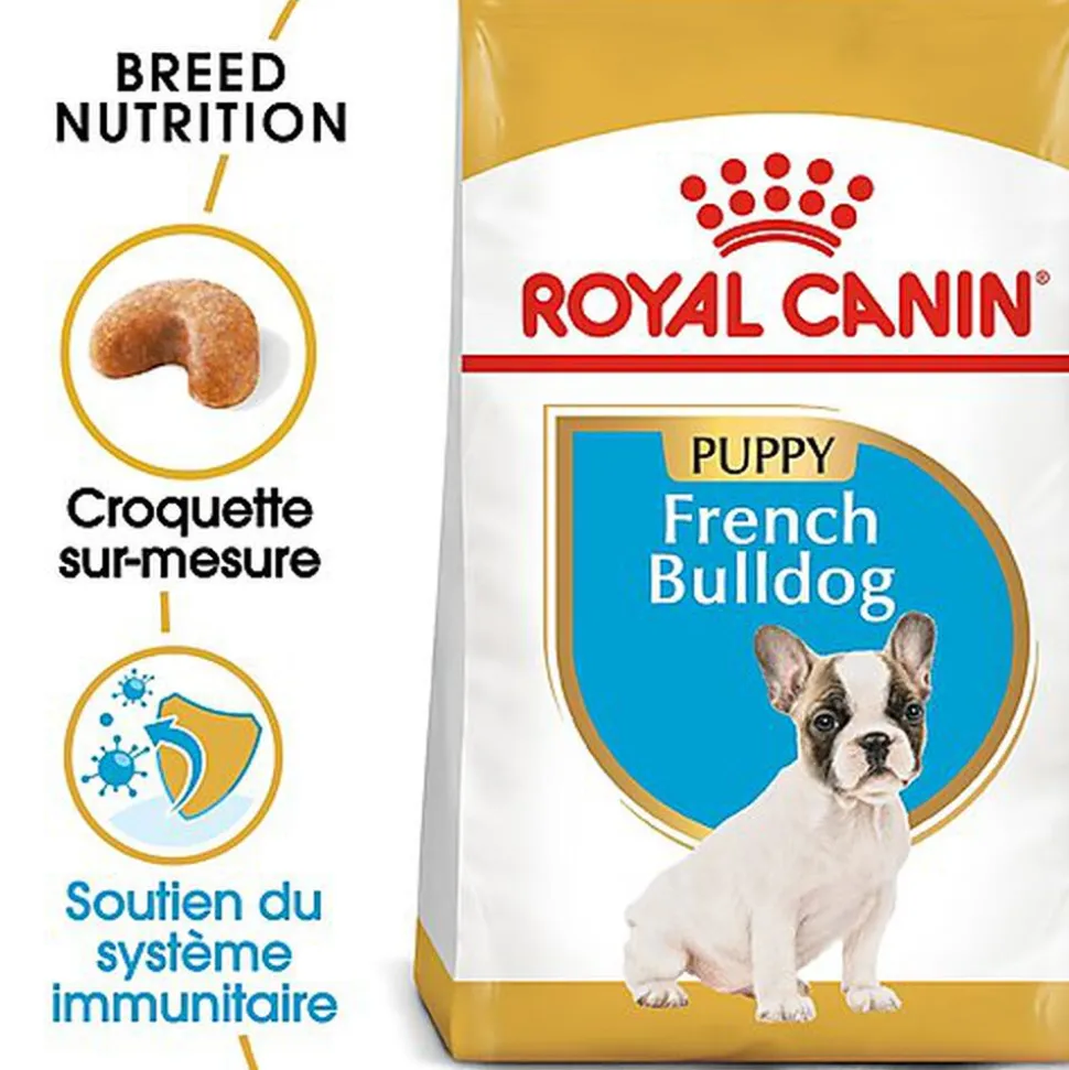 Royal Canin - Croquettes Bouledogue Français Junior pour Chiot