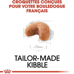 Royal Canin - Croquettes Bouledogue Français Junior pour Chiot