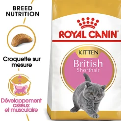 Royal Canin - Croquettes British Shorthair Kitten pour Chatons - 2Kg