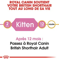 Royal Canin - Croquettes British Shorthair Kitten pour Chatons - 2Kg