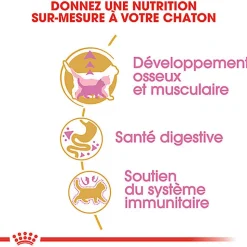 Royal Canin - Croquettes British Shorthair Kitten pour Chatons - 2Kg