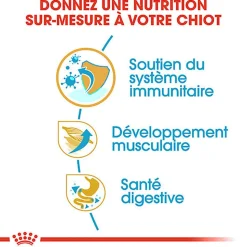 Royal Canin - Croquettes Boxer Junior pour Chien