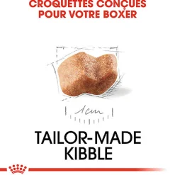 Royal Canin - Croquettes Boxer Junior pour Chien