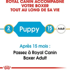 Royal Canin - Croquettes Boxer Junior pour Chien