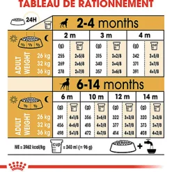 Royal Canin - Croquettes Boxer Junior pour Chien