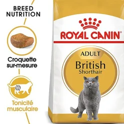 Royal Canin - Croquettes British Shorthair Adult pour Chat