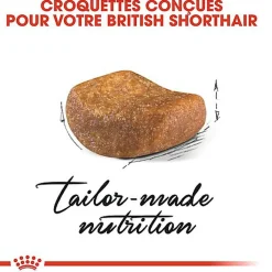 Royal Canin - Croquettes British Shorthair Adult pour Chat