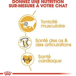 Royal Canin - Croquettes British Shorthair Adult pour Chat