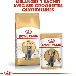 Royal Canin - Croquettes British Shorthair Adult pour Chat