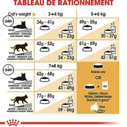 Royal Canin - Croquettes British Shorthair Adult pour Chat