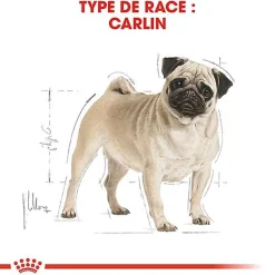Royal Canin - Croquettes Carlin pour Chien Adulte - 1,5Kg