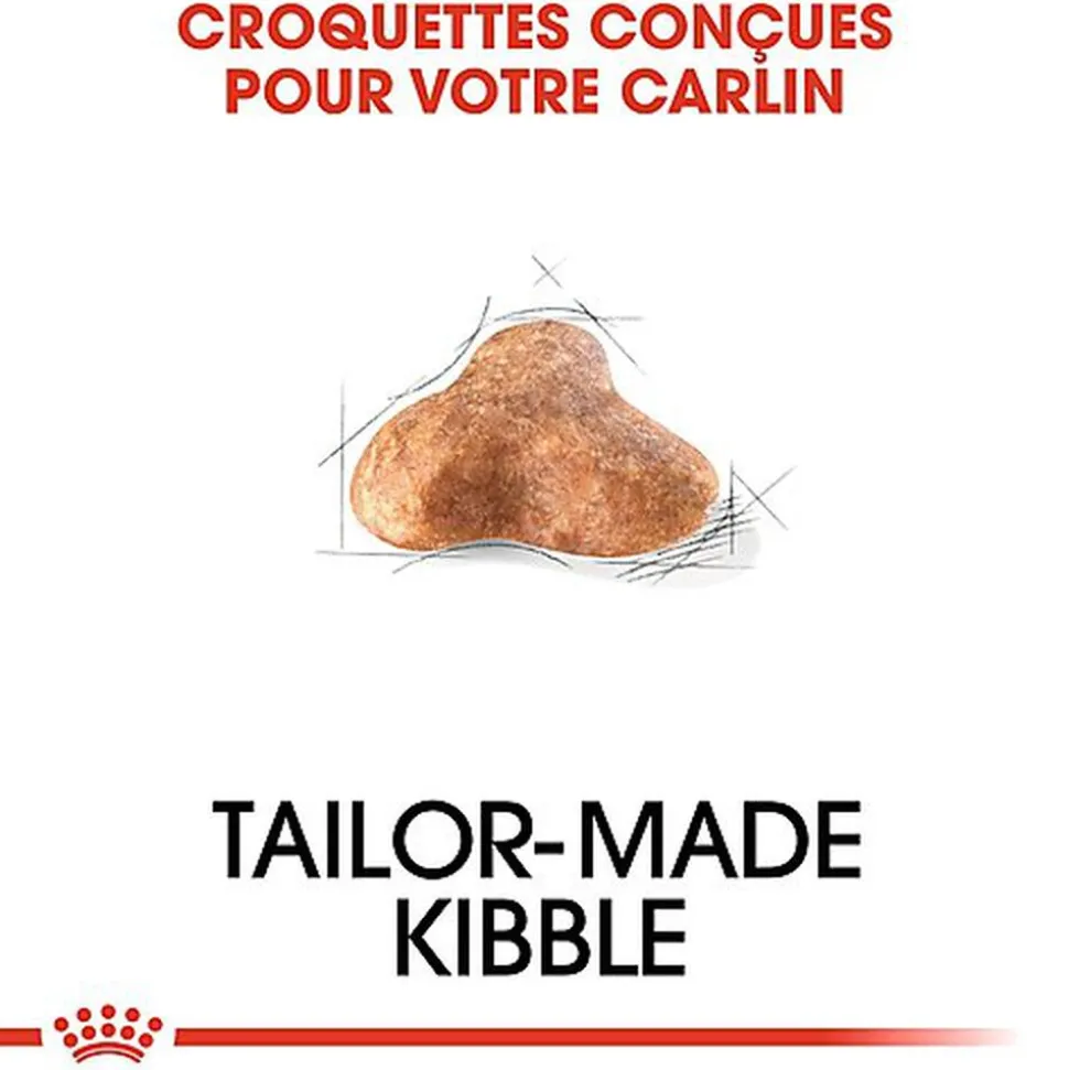 Royal Canin - Croquettes Carlin pour Chien Adulte - 1,5Kg