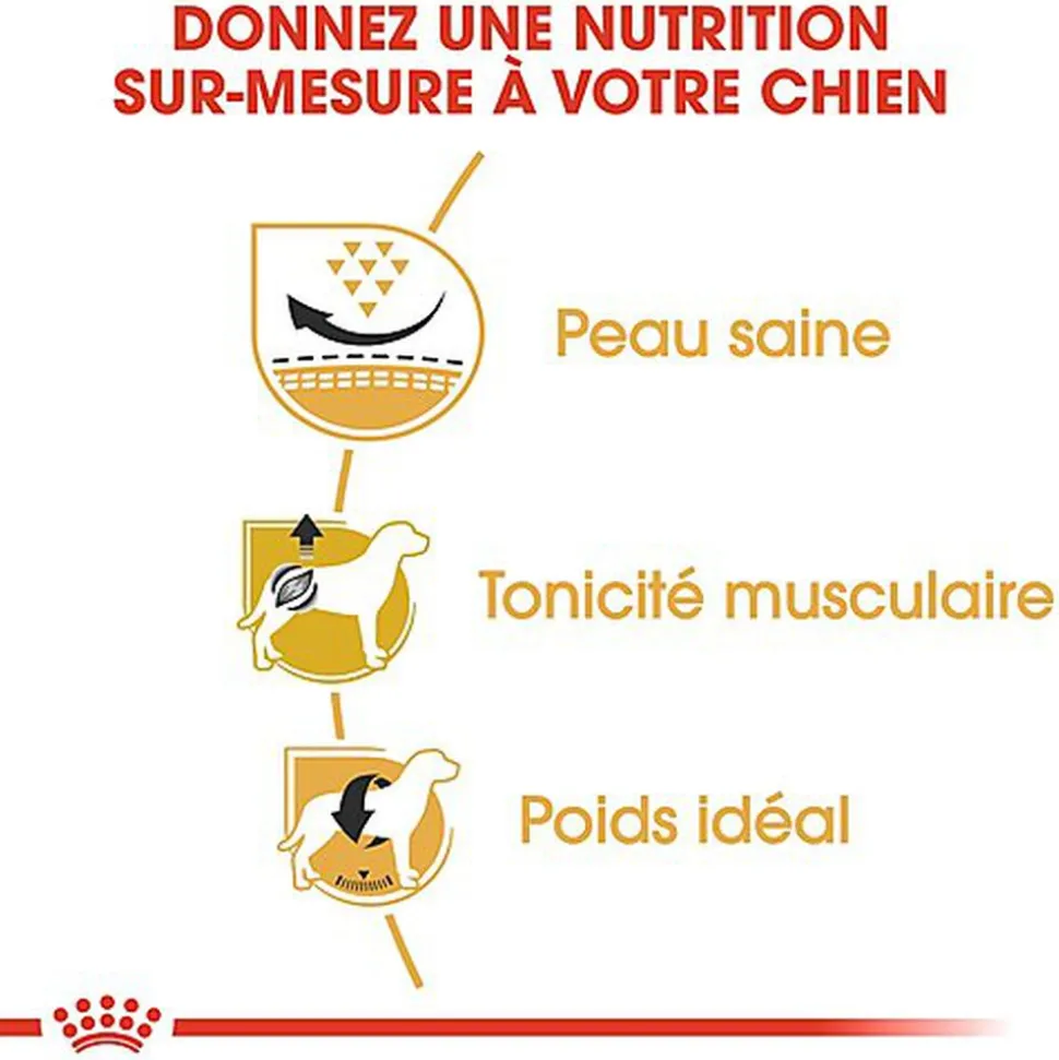 Royal Canin - Croquettes Carlin pour Chien Adulte - 1,5Kg
