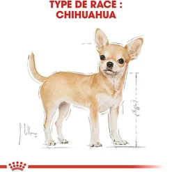 Royal Canin - Croquettes Chihuahua pour Chien Adulte