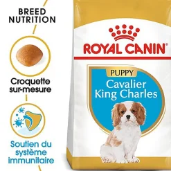 Royal Canin - Croquettes Cavalier King Charles Junior pour Chiot - 1,5Kg