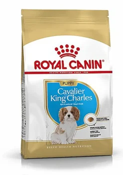 Royal Canin - Croquettes Cavalier King Charles Junior pour Chiot - 1,5Kg
