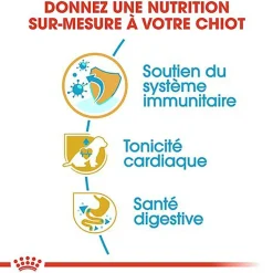 Royal Canin - Croquettes Cavalier King Charles Junior pour Chiot - 1,5Kg