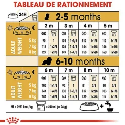 Royal Canin - Croquettes Cavalier King Charles Junior pour Chiot - 1,5Kg