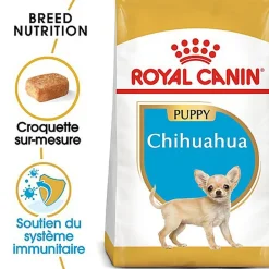 Royal Canin - Croquettes Chihuahua Junior pour Chiot