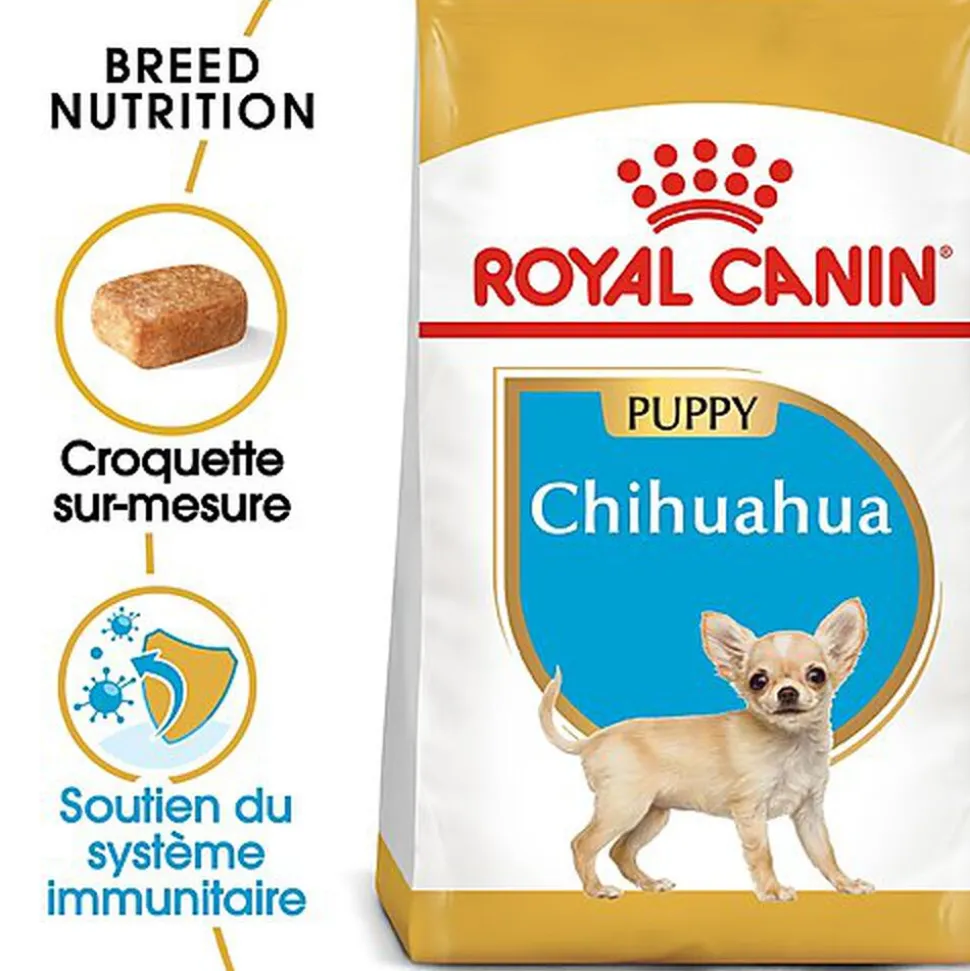 Royal Canin - Croquettes Chihuahua Junior pour Chiot