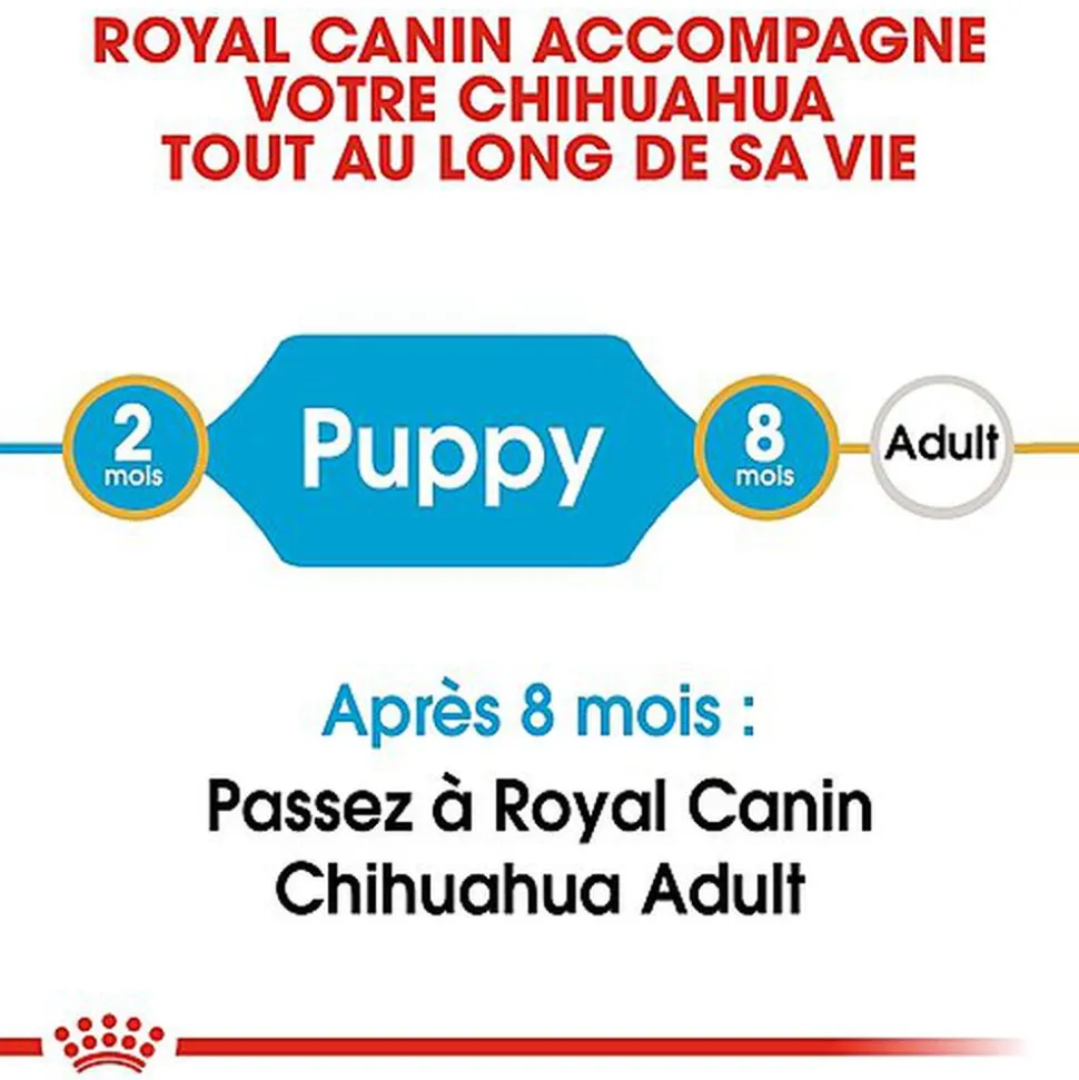 Royal Canin - Croquettes Chihuahua Junior pour Chiot