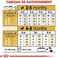 Royal Canin - Croquettes Chihuahua Junior pour Chiot