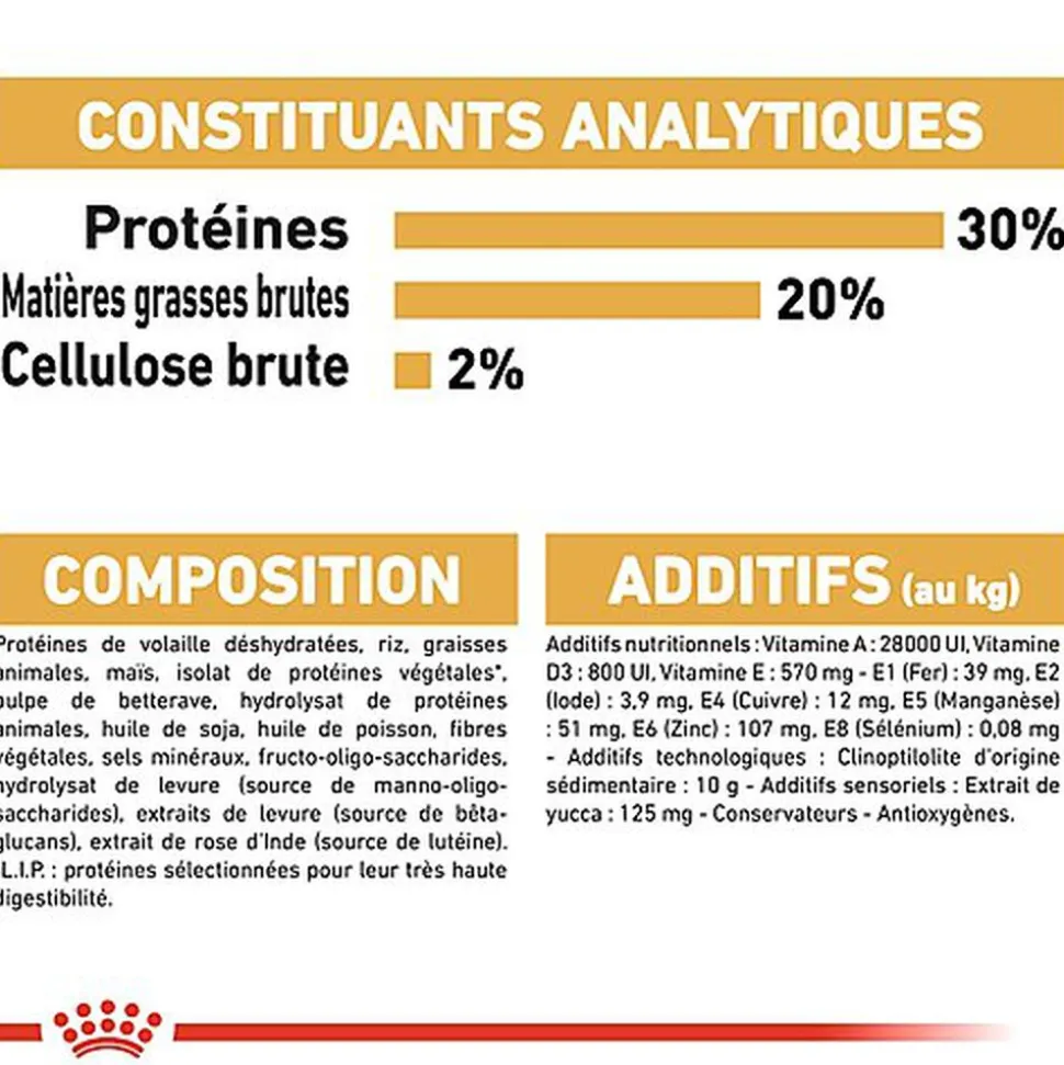 Royal Canin - Croquettes Chihuahua Junior pour Chiot