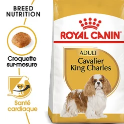 Royal Canin - Croquettes Cavalier King Charles Adult - 1,5Kg