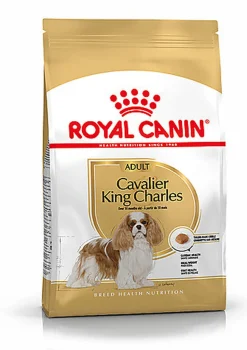 Royal Canin - Croquettes Cavalier King Charles Adult - 1,5Kg