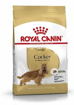 Royal Canin - Croquettes Cocker pour Chien Adulte