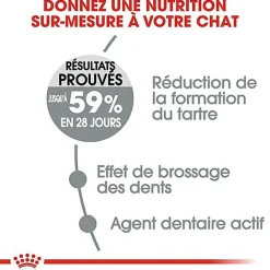 Royal Canin - Croquettes Dental Sensitive Care pour Chat