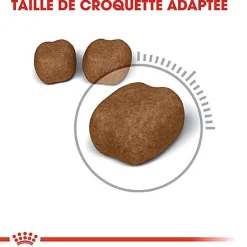 Royal Canin - Croquettes Dental Sensitive Care pour Chat
