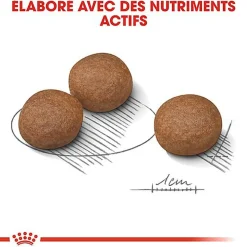 Royal Canin - Croquettes Digestive Care pour Chien