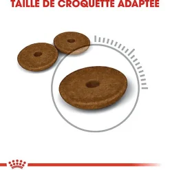 Royal Canin - Croquettes Digestive Care pour Chat